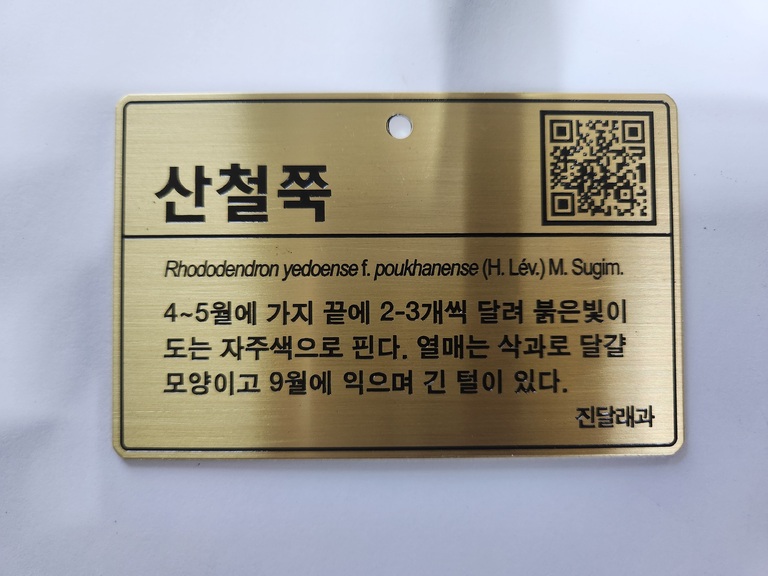 명판